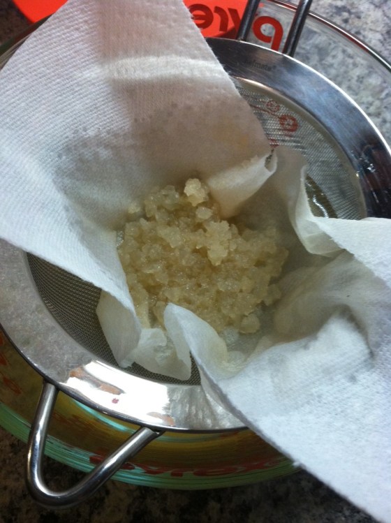 strained kefir grains
